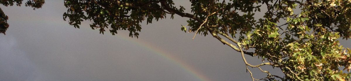 Jon on a bike…La Vélo Francette